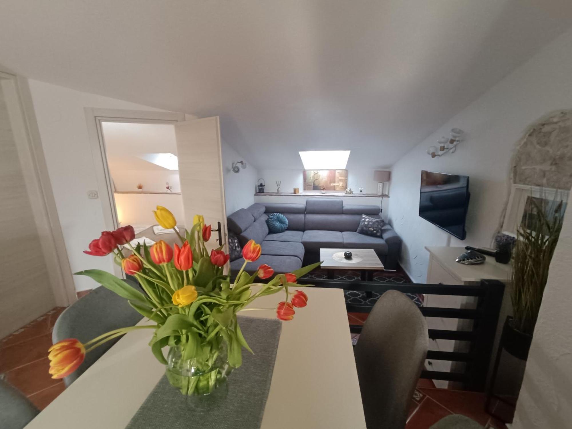 ורסאר Adria Pearl Appartments מראה חיצוני תמונה